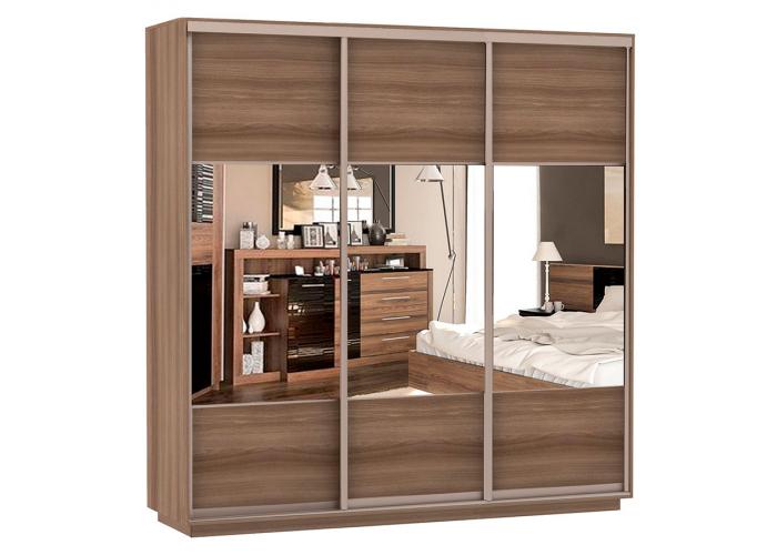 Шкаф-купе Сенатор 240х60х220 Трио Комби 2