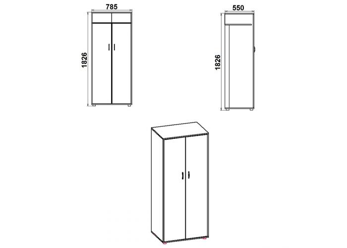 Шкаф Победа 2