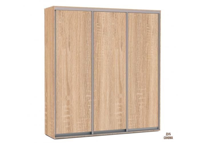 Шкаф-купе Победа 230х60х240 ДДД тип-2