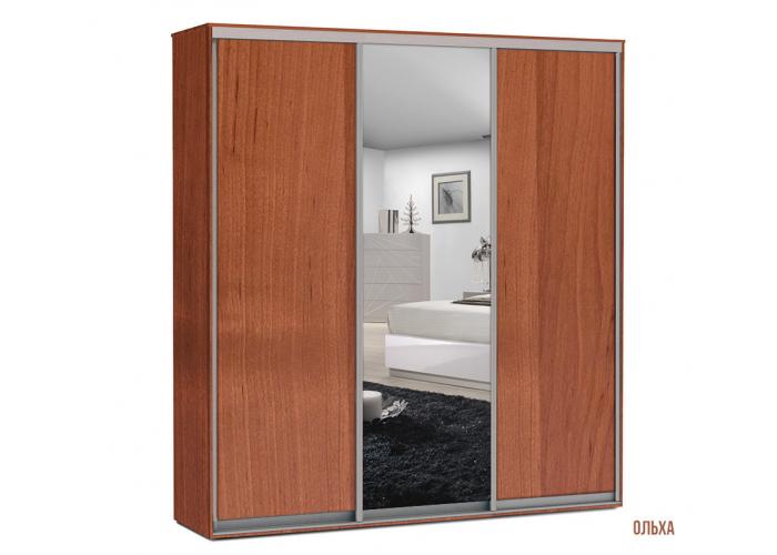 Шкаф-купе Победа 220х60х240 ДЗД