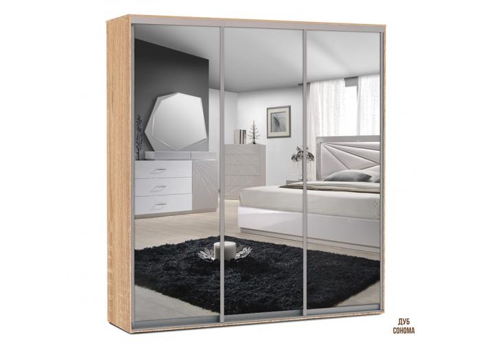 Шкаф-купе Победа 200х60х240 ЗЗЗ