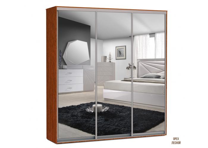 Шкаф-купе Победа 200х60х240 ЗЗЗ