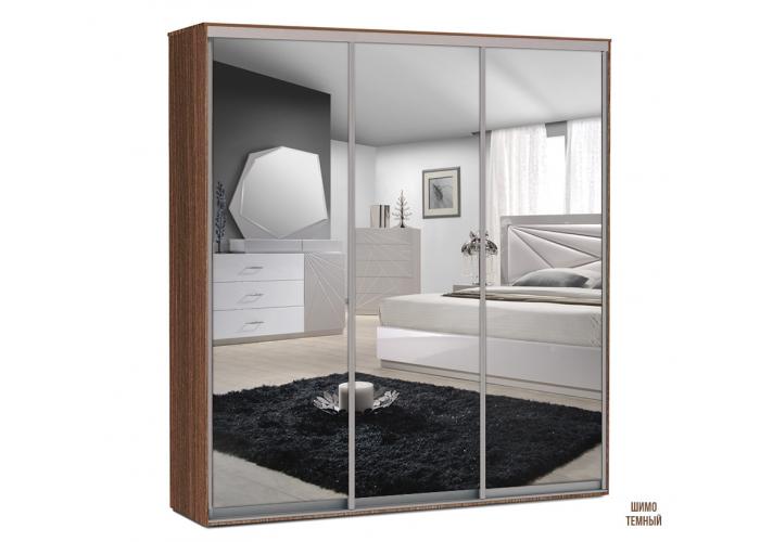 Шкаф-купе Победа 200х60х240 ЗЗЗ