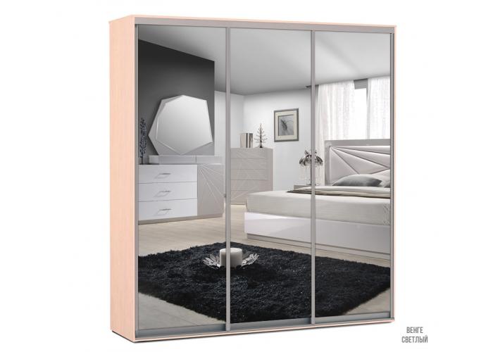 Шкаф-купе Победа 200х60х240 ЗЗЗ